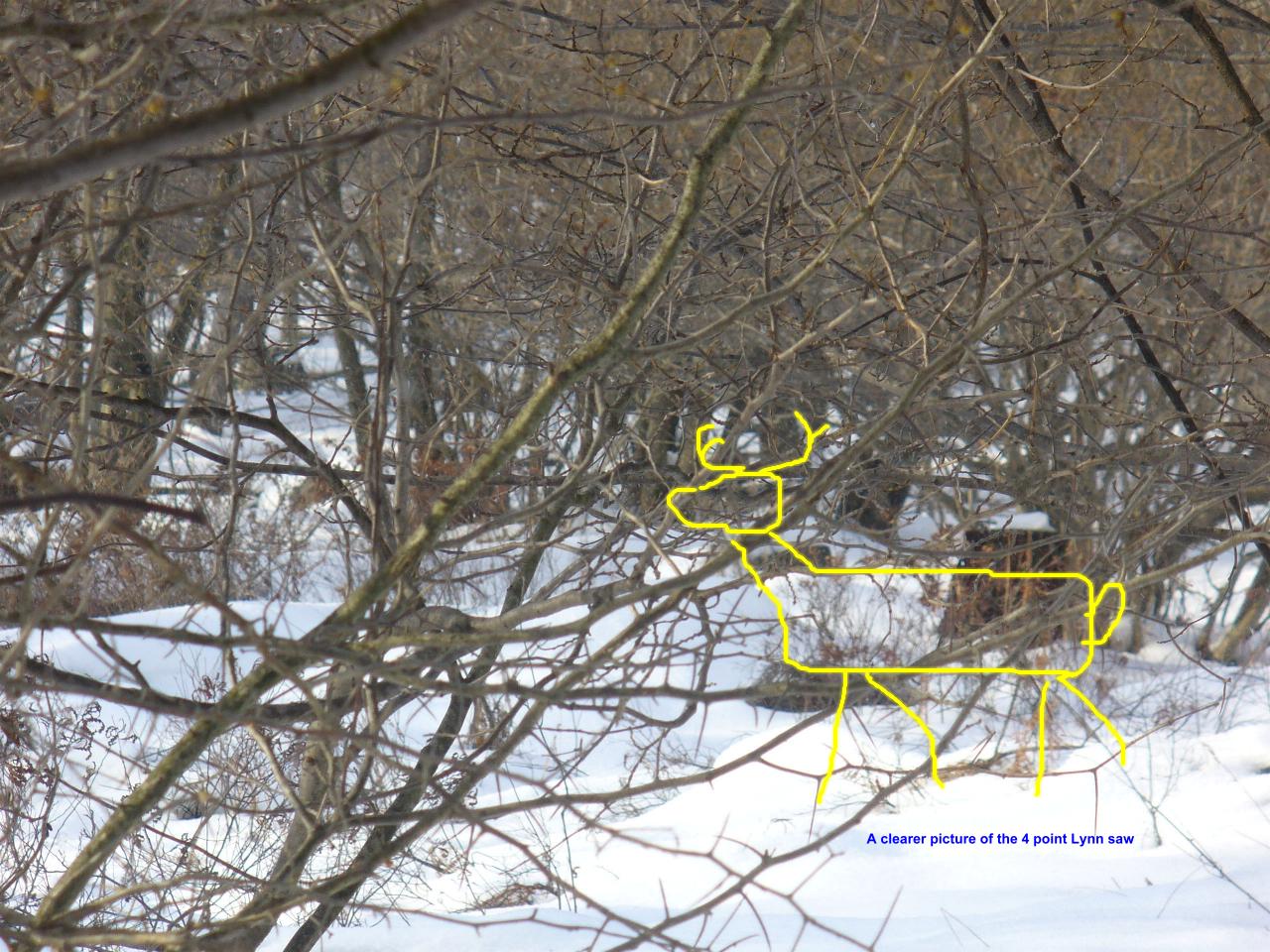 08hiding2.JPG