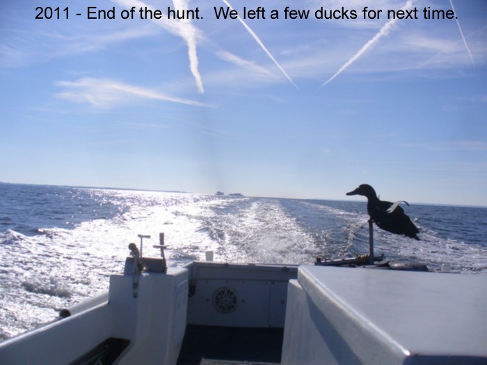 2011_399s.jpg
